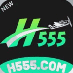 h555 game