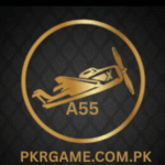A55 Game