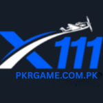 x111 login