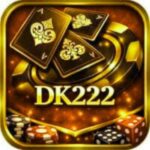dk222 game