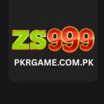 ZS999 game